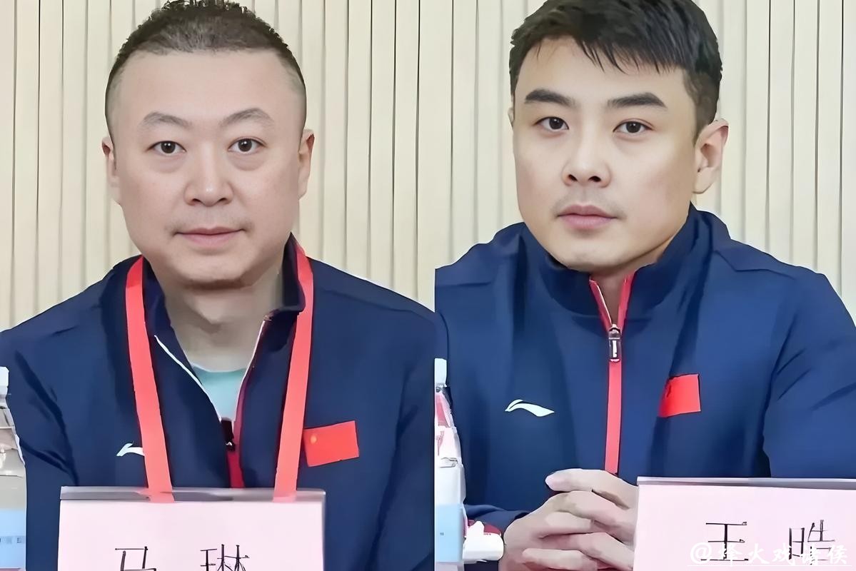 国乒教练公开报名,3人角逐激烈,马琳王皓正面交锋 国乒教练公开报名,3人角逐激烈,马琳王皓正面交锋